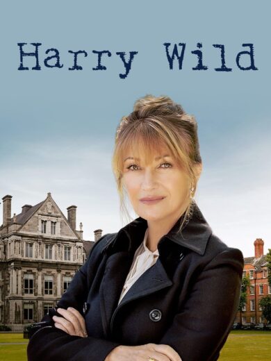 مسلسل Harry Wild مترجم الموسم 1