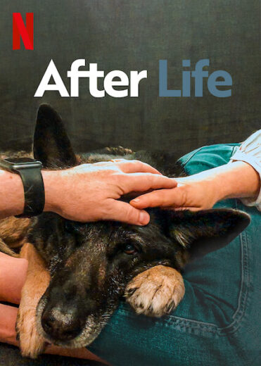 مسلسل After Life مترجم الموسم 3